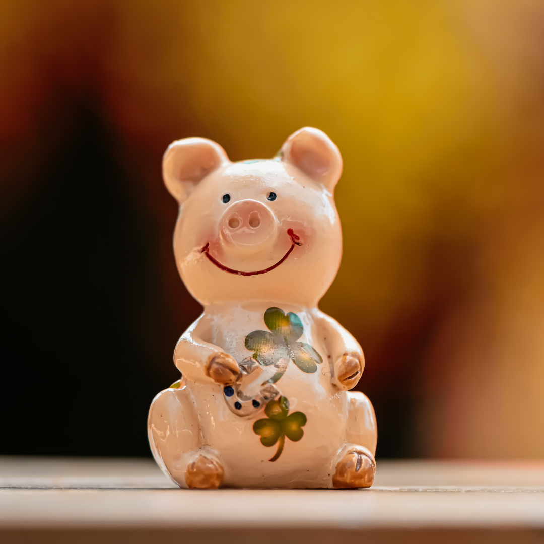 Nestler Orthopädie wünscht seinen Kunden und Lieferanten ein erfolgreiches Jahr 2024